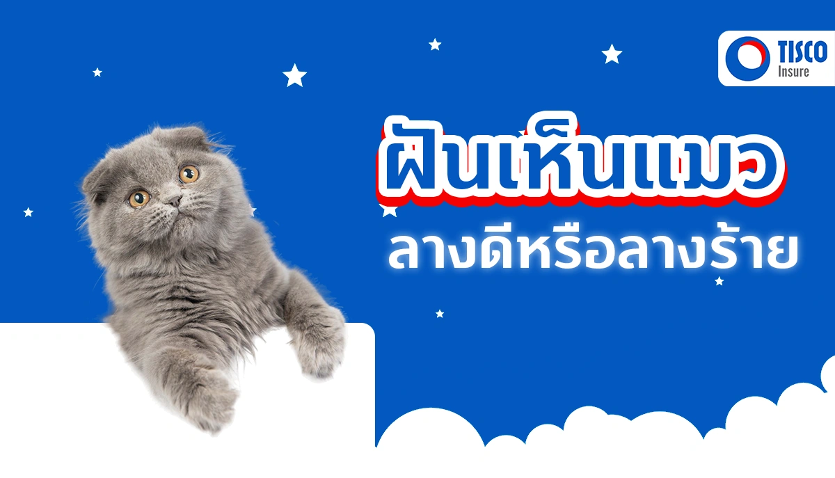 ฝันเห็นแมว