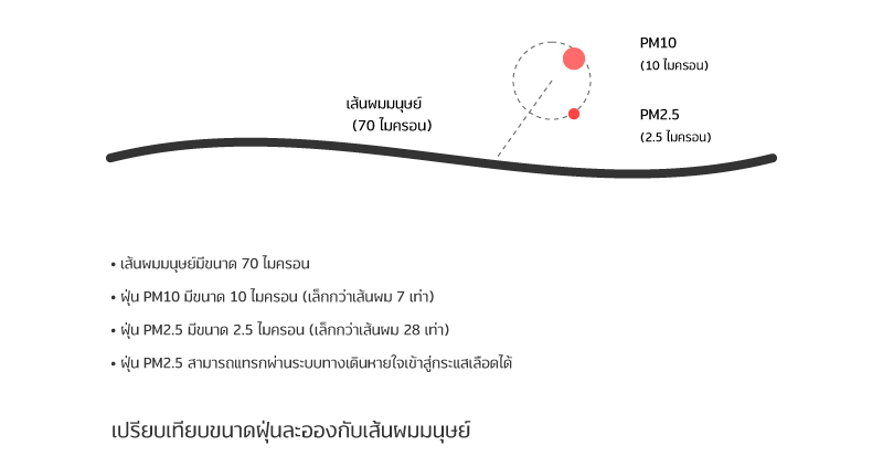 ฝุ่น PM2.5