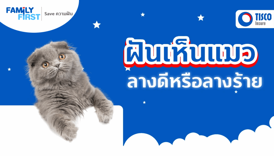 ฝันเห็นแมว