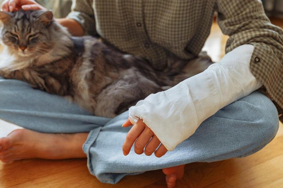 แมวข่วน